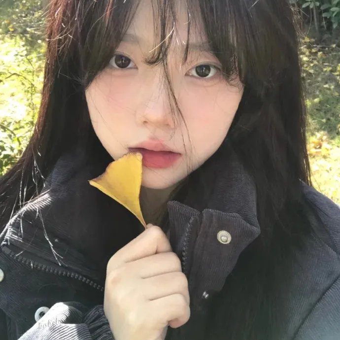 回归生活